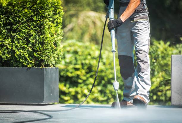 Best Sidewalk and Walkway Cleaning  in Tremonton, UT